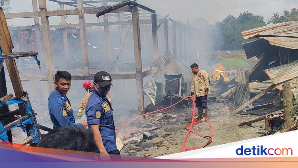 Kebakaran Kandang di Ngemplak Boyolali, Ribuan Ayam Terpanggang