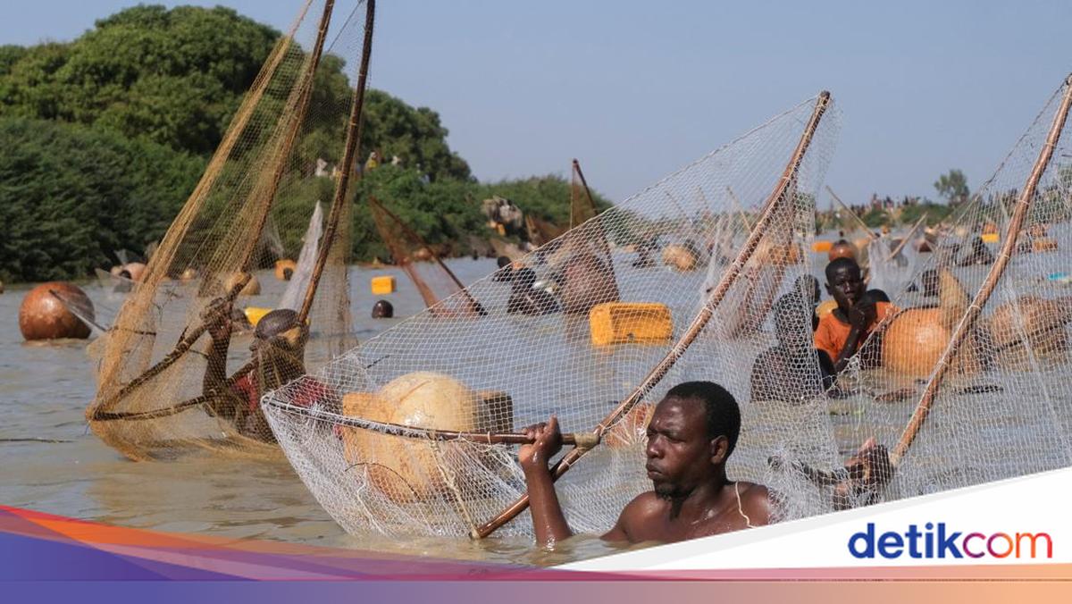 Ratusan Nelayan Padati Sungai Semarakkan Festival Memancing Argungu