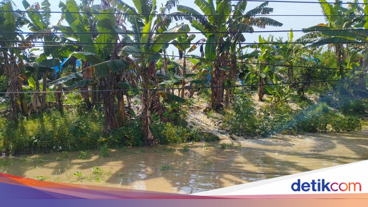 34 Desa di Grobogan Jateng Kebanjiran, 5.214 Keluarga Terdampak