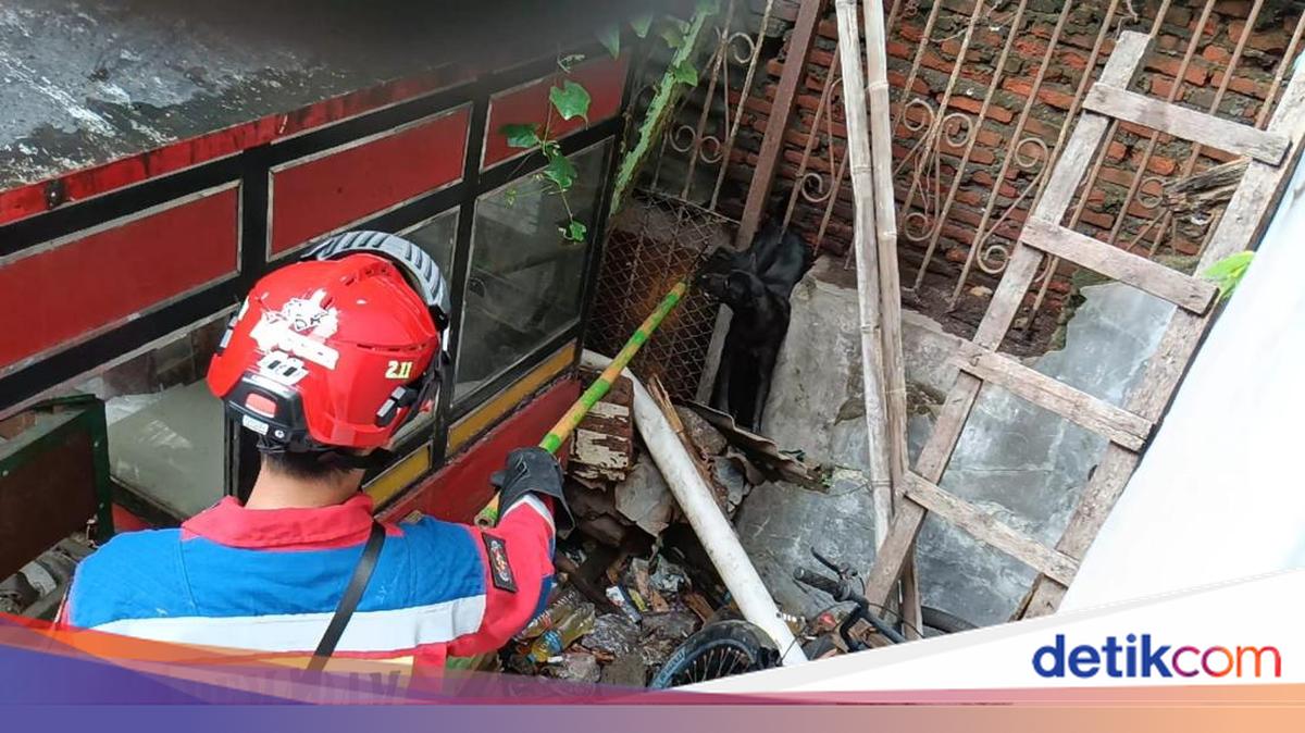 Anjing Terjepit Pagar di Penjaringan Jakut, Damkar Evakuasi dengan Selamat