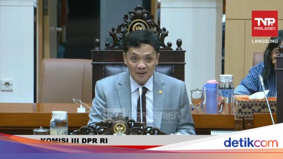 Komisi III DPR Nilai Laporan Erin ke Mantan ART Tak Tepat