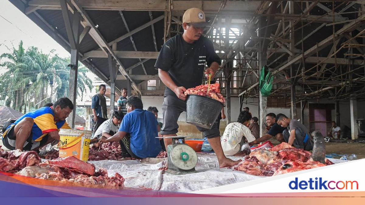 Warga Huta Godang Bagikan Daging Sapi Sambut Ramadan 1447 H