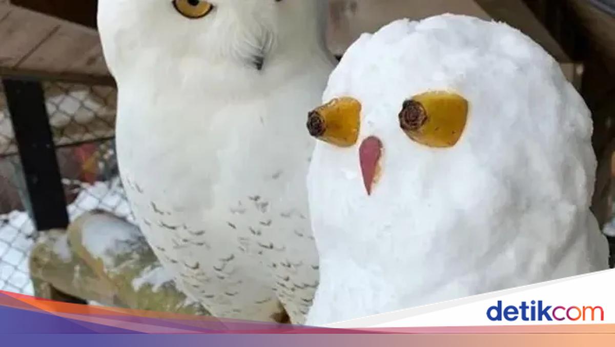 Begini Jadinya Kalau Main Salju Kelewat Kreatif