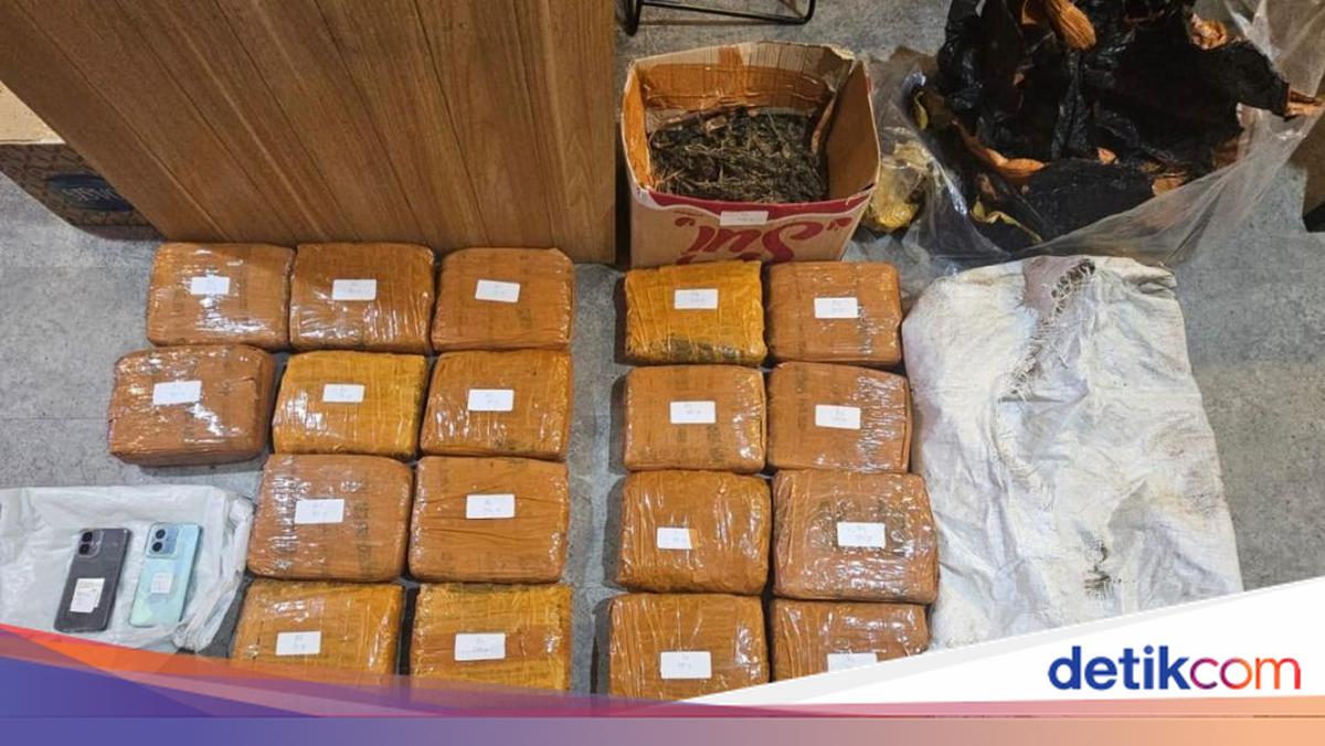 Polisi Tangkap Pengedar Ganja di Jakbar, 18 Kilogram Barang Bukti Disita