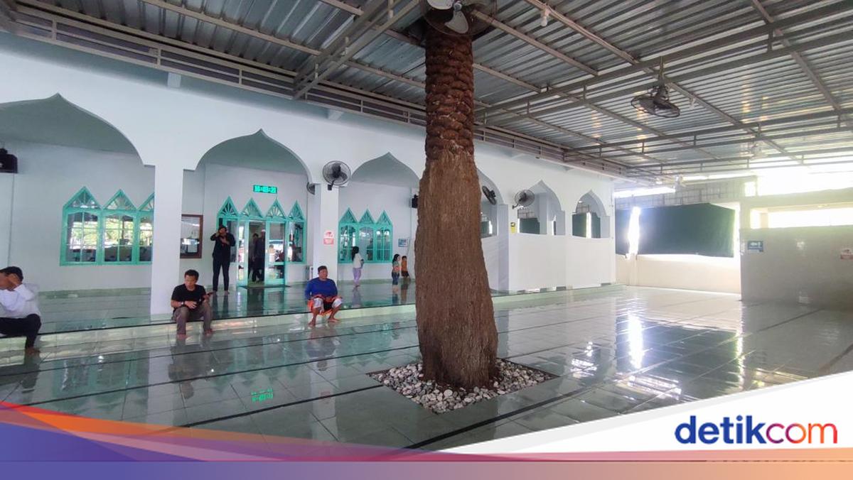 Kisah Pohon Kurma Setinggi 7 Meter yang Tumbuh di Dalam Masjid Bali
