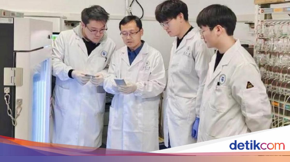 Ilmuwan China Bikin Baterai Mobil dari Plastik