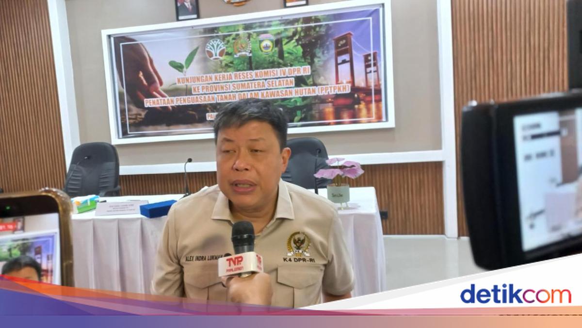 Respons Langkah Prabowo Hadapi El Nino, Komisi IV Minta BNPB Petakan Ancaman