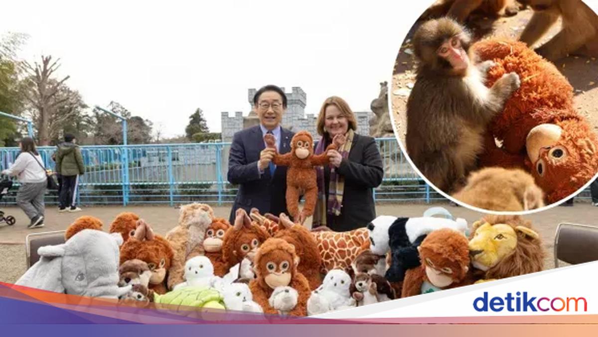 Cute! IKEA Kasih Bayi Monyet Punch Boneka Lebih Banyak