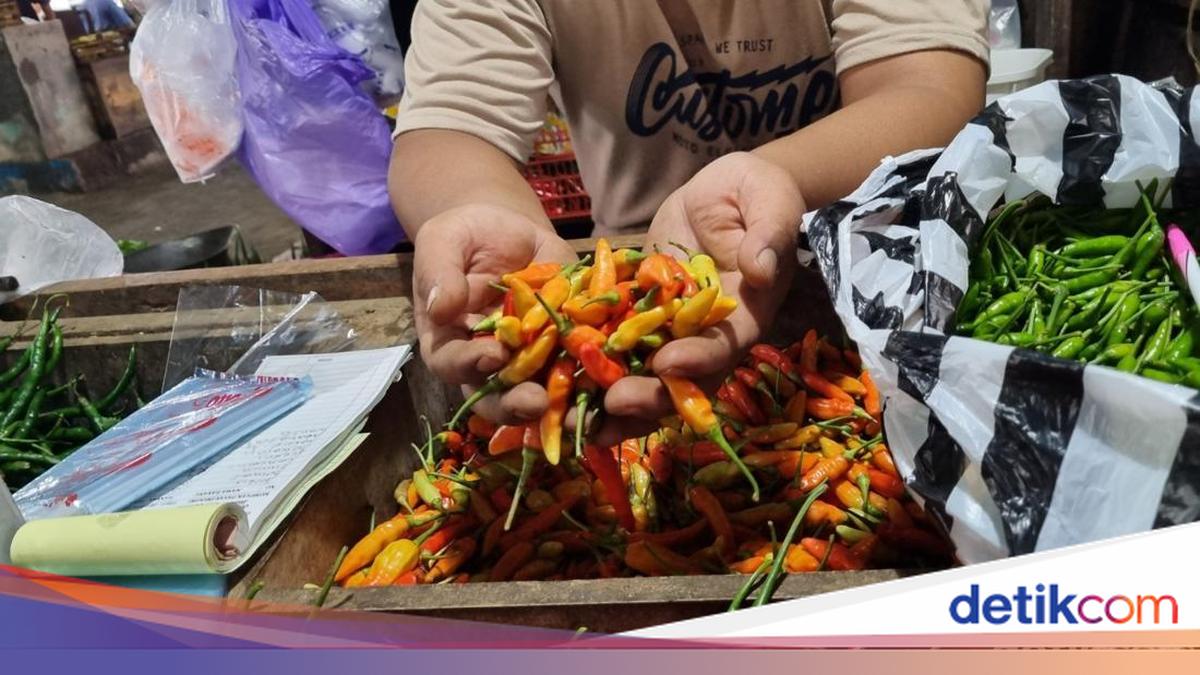 Petani Ungkap Penyebab Harga Cabai Melesat hingga Tembus Rp 90 Ribu/Kg