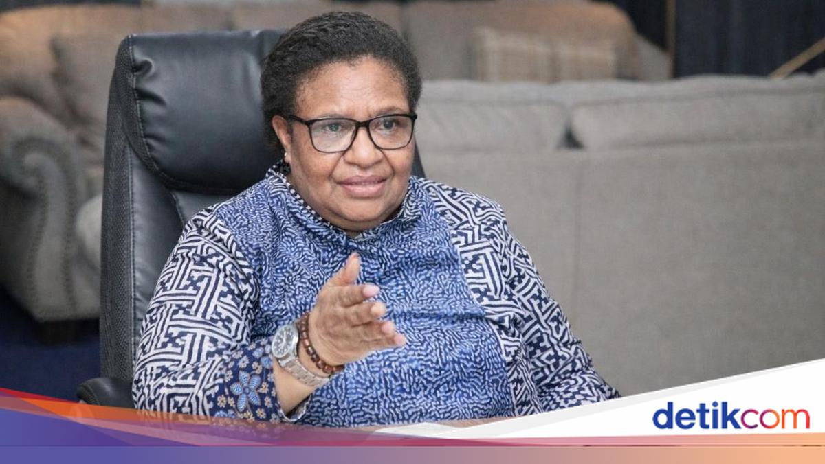 Wamendagri Pastikan Progres Pembangunan KPP Papua Pegunungan Terpantau