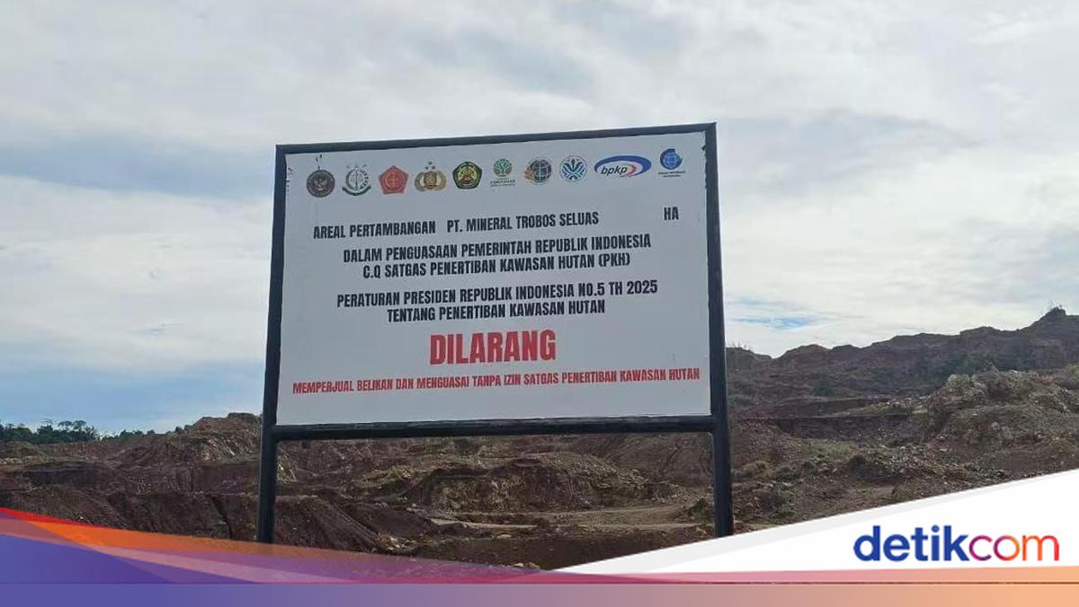 Satgas PKH Hitung Denda Pelanggaran Perusahan Tambang Ilegal di Malut