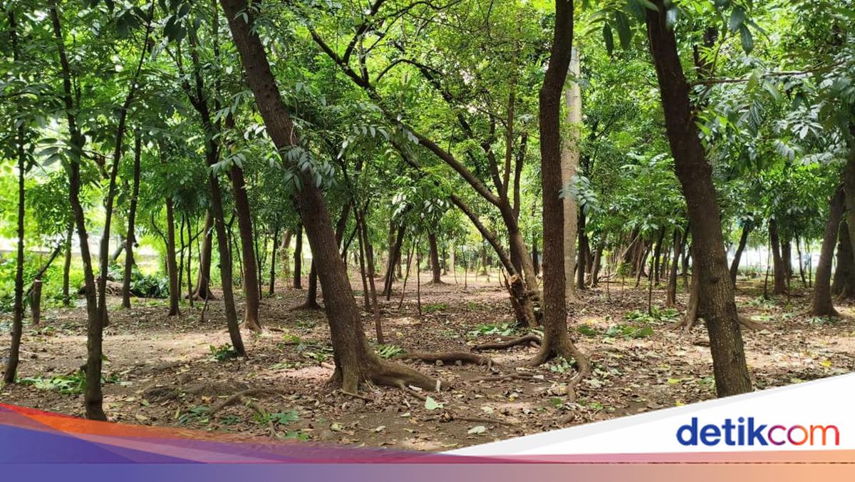 Sudut Gelap Taman Kota Cawang yang Bikin Tercengang