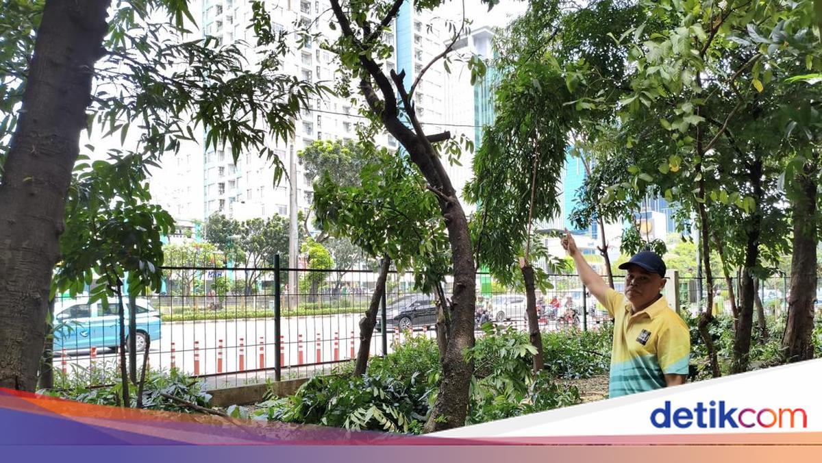 Petugas Pangkas Pohon-Tambah Lampu di Taman Kota Cawang Diduga Sarang Asusila