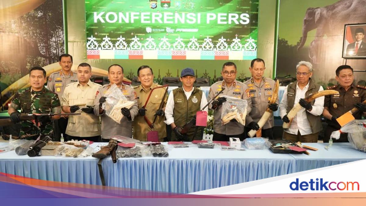 5 Fakta Perkara Gajah Tanpa Kepala Akhirnya Diungkap Polda Riau