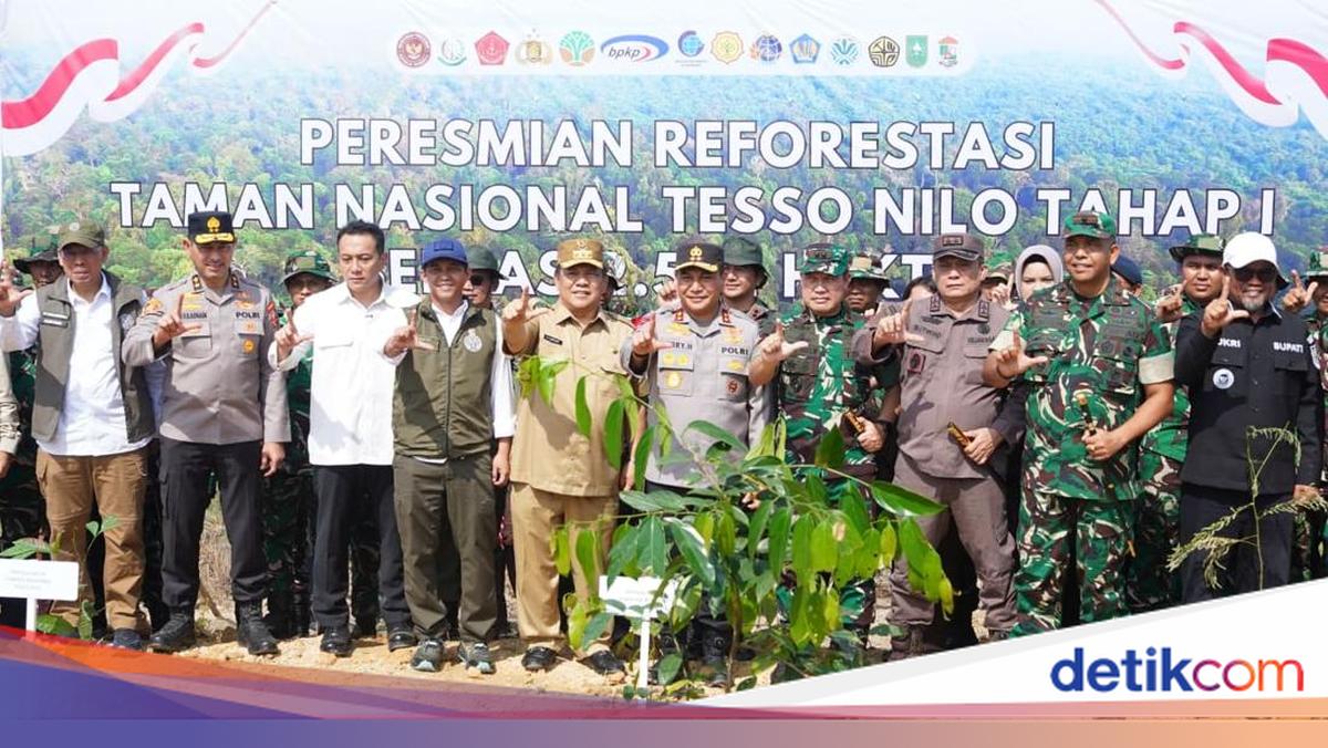 Hijaukan Kembali TNTN, 2 Ribu Pohon Ditanam demi Pulihkan Jantung Riau