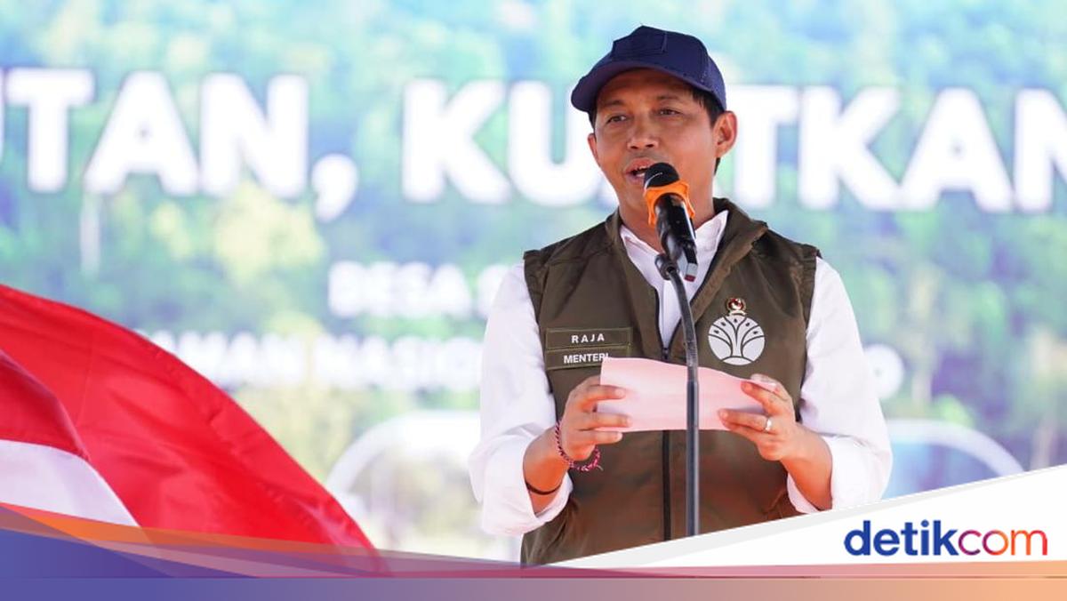 Atasi Konflik Gajah-Warga, Prabowo Siapkan Dana Banpres Pagari Way Kambas