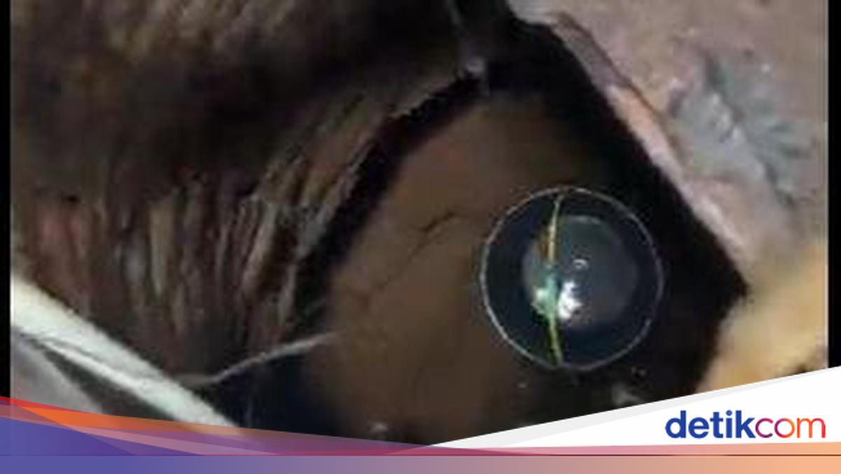 Desa Kadujajar Kekurangan Air Bersih untuk Mandi-Minum, Mari Kita Bantu