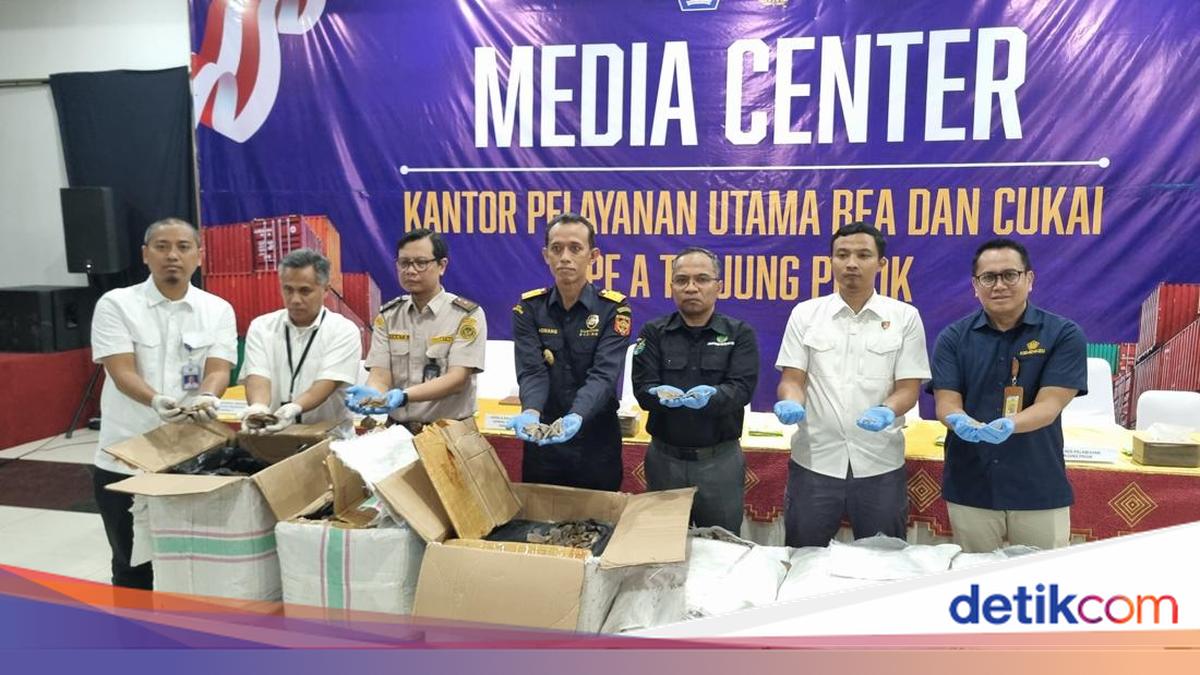 Bea Cuka Gagalkan Penyelundupan 3 Ton Sisik Trenggiling Rp 183 M