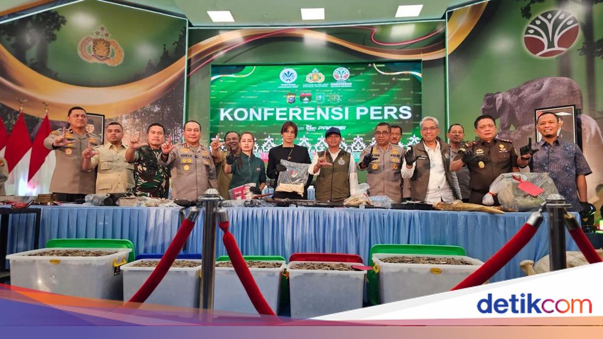 Terungkap Jejak Gading Gajah Tesso Nilo hingga Dikirim ke Solo