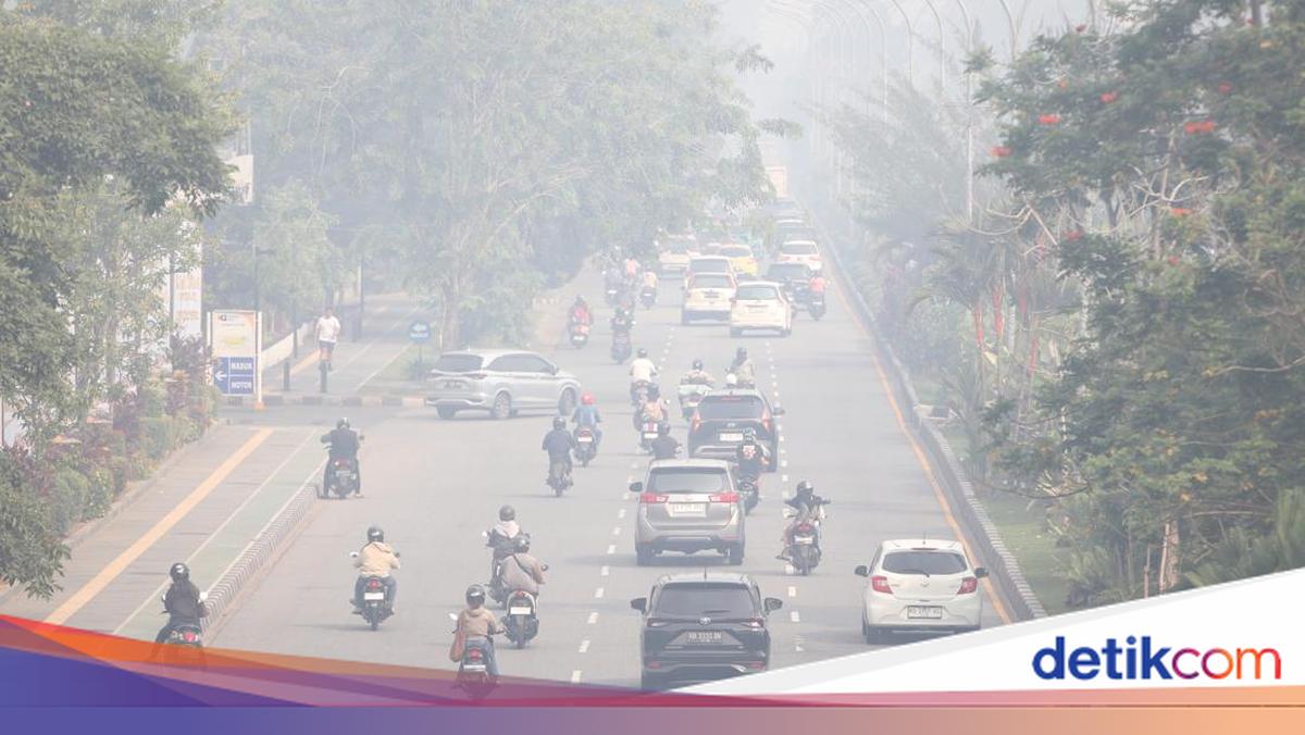 Kasus ISPA di Kalbar Capai 165 Ribu Akibat Karhutla