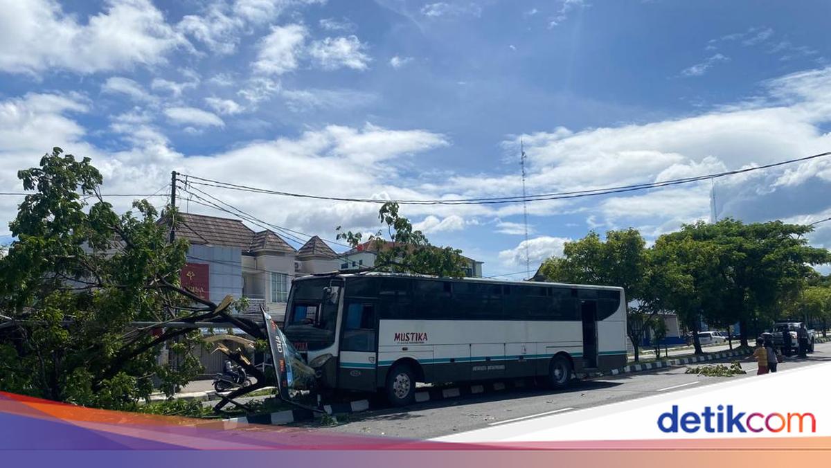 Hindari Motor, Bus Mustika Tabrak Pohon di Ring Road Selatan Jogja