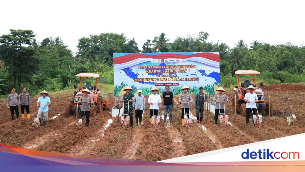 Kapolda Banten Ungkap Bulog Serap 2.997 Ton Jagung Hasil Panen pada 2025