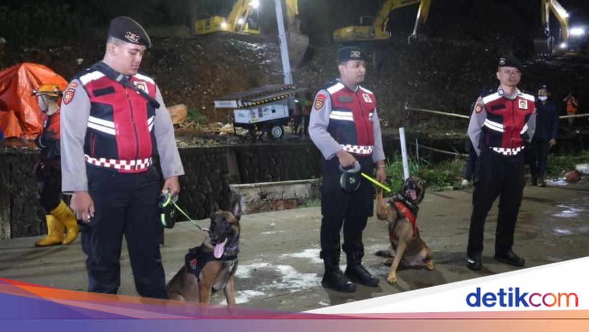 Jumlah Korban Tewas Akibat Gunung Sampah Bantargebang Longsor Jadi 4 Orang