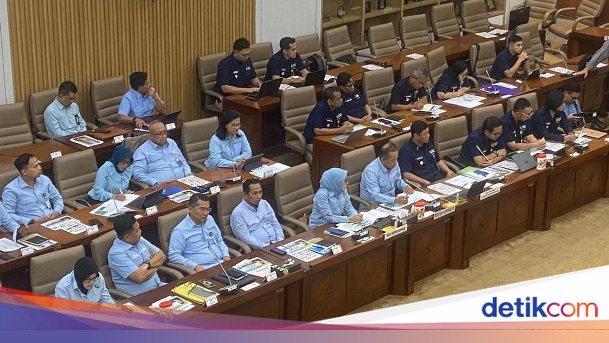 Agrinas Bilang Dirutnya Sakit, Anggota DPR Mau Cek di Mana