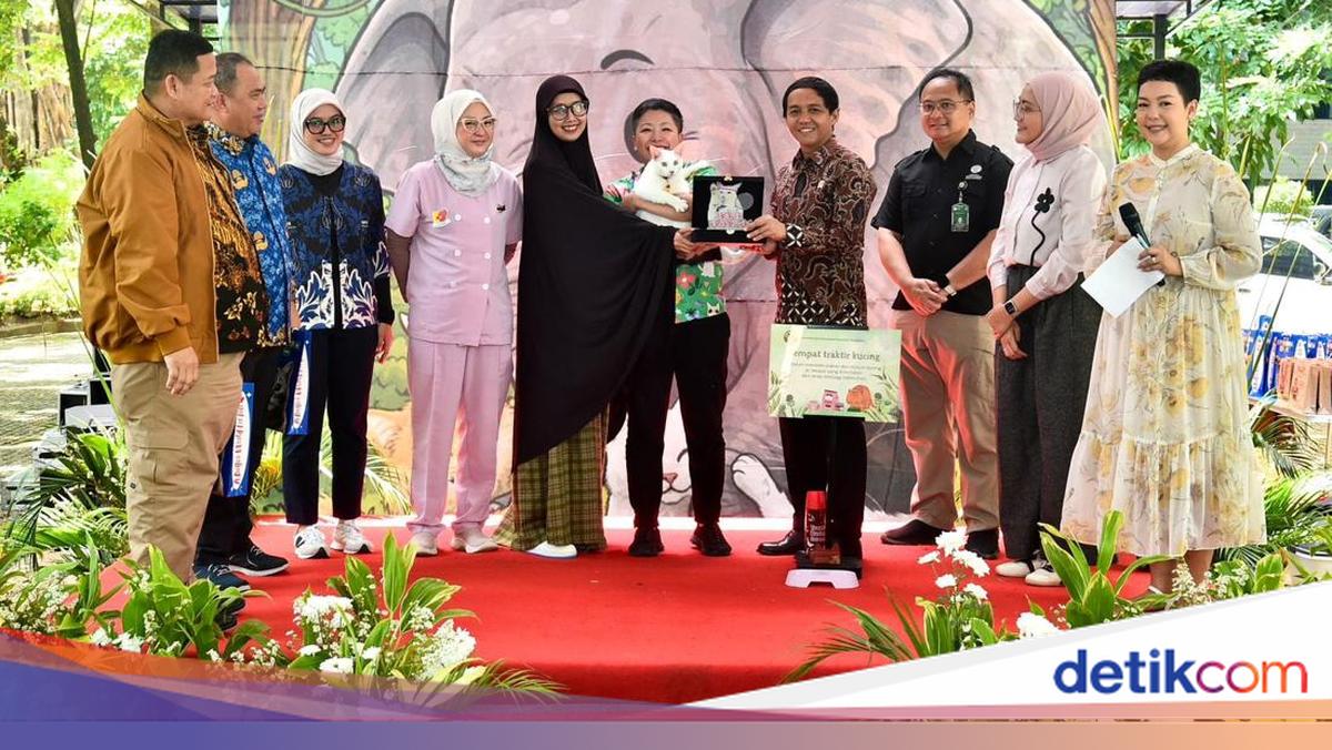 Menhut Luncurkan Program Ramah Hewan, Kucing Jalanan Disteril dan Divaksin