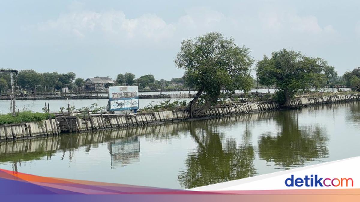 Mudik ke Sidoarjo? Wisata Pemancingan hingga Seafood Segar Bisa Jadi Pilihan