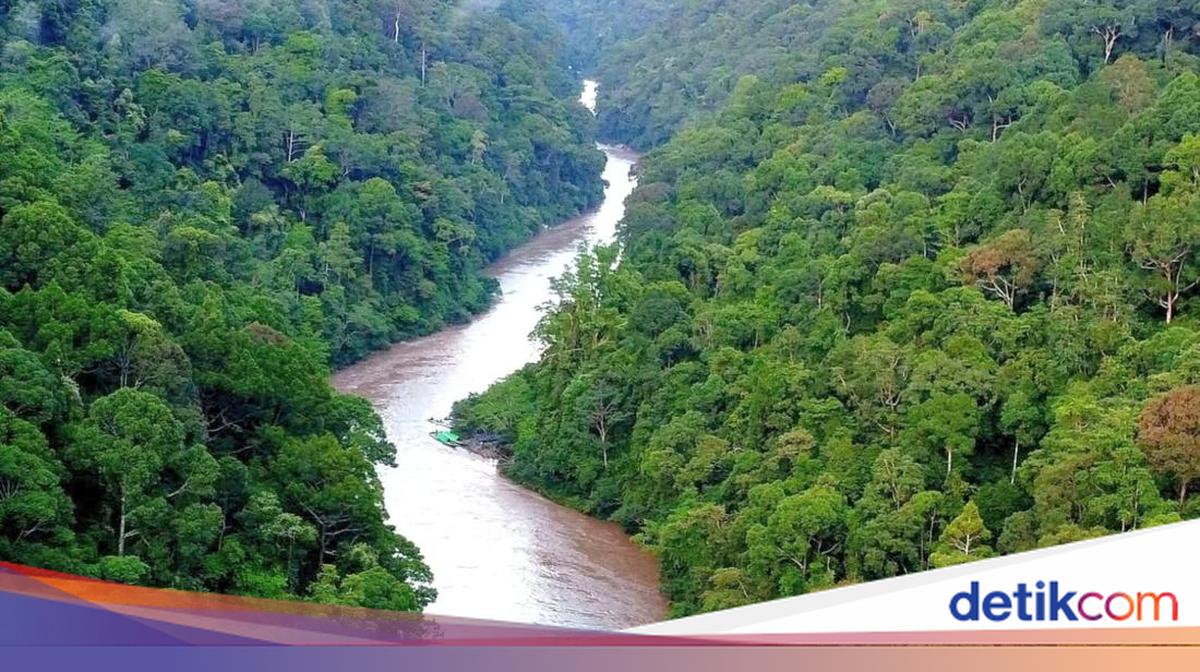 Para Pemberani yang Bikin Urat Nadi Ekonomi Berdetak di Sungai Ganas Kaltara