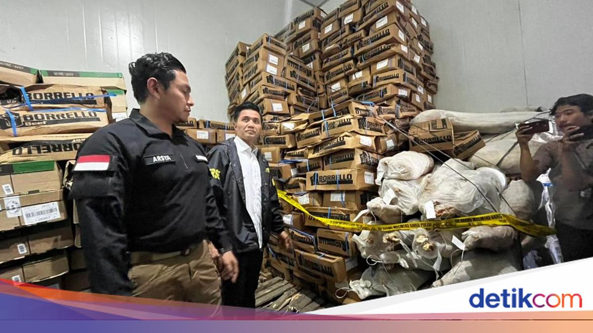 Uji Lab Daging Impor Kedaluwarsa yang Dibongkar Bareskrim: Tak Layak Konsumsi