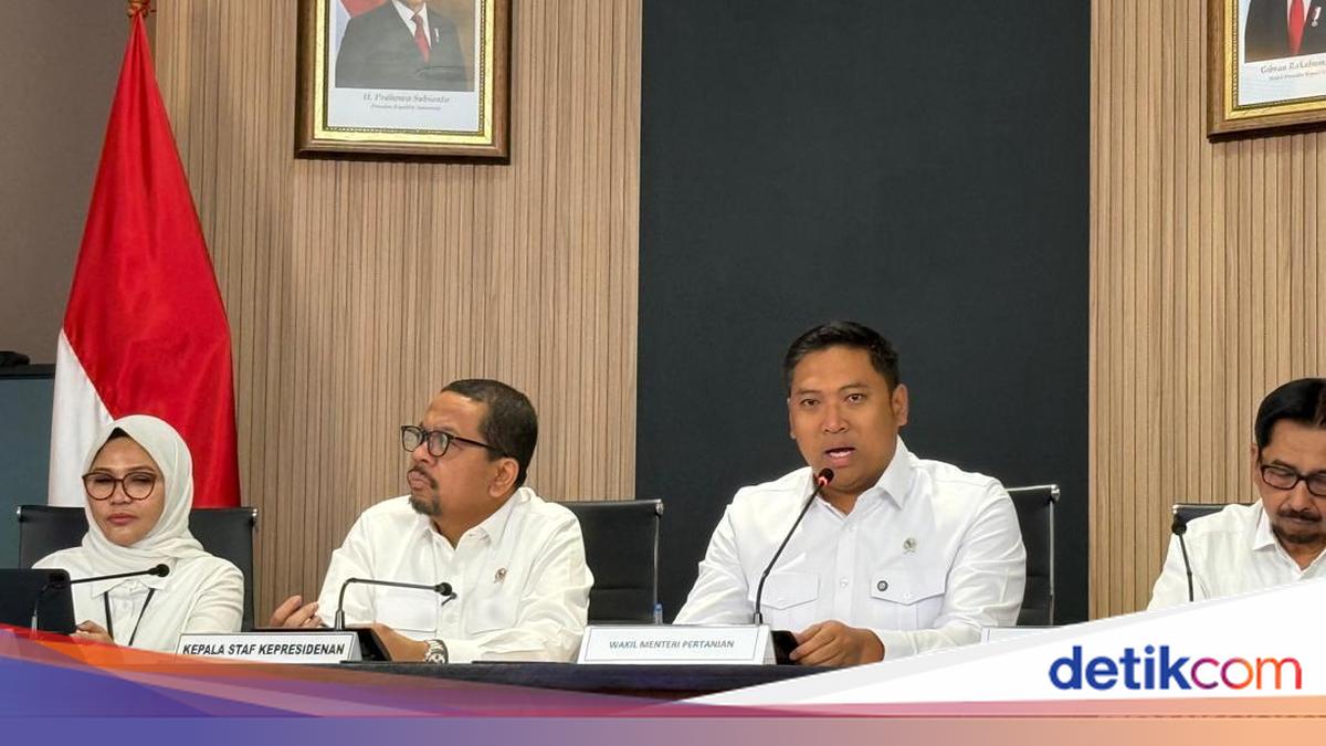 Surplus Produksi Beras 13%, RI Buka Keran Ekspor ke Saudi dan Papua Nugini