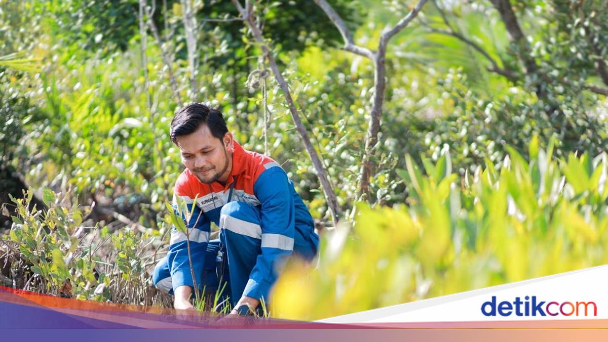 Hutan Lestari Pertamina: Menenun Harmoni Alam, Menuai Kesejahteraan Warga