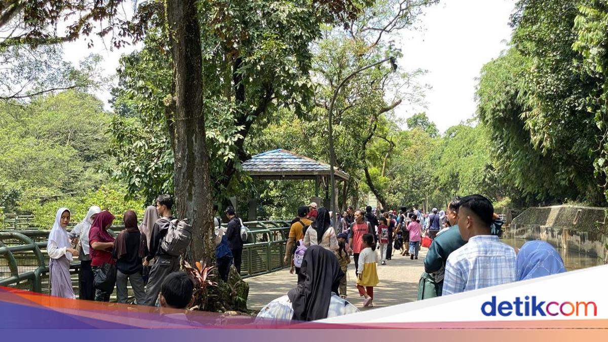 37 Ribu Warga Kunjungi TM Ragunan di Hari Kedua Lebaran