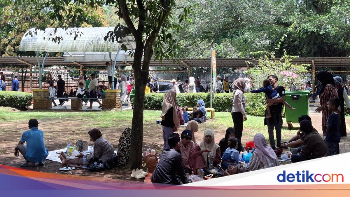 Warga Subang Ini Perdana ke Ragunan Saat Lebaran: Murah tapi Ramai Banget