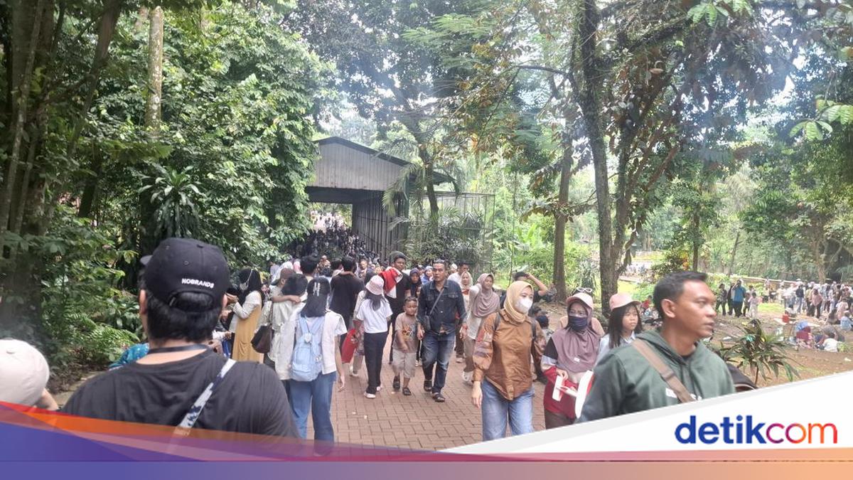 Baru Setengah Hari, Pengunjung Ragunan Tembus 60 Ribu di H+2 Lebaran