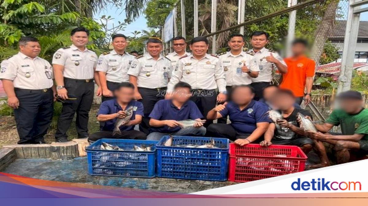 Panen 150 Kg Ikan Laku Terjual, Lapas Banjarmasin: Keberlanjutan Ketahanan Pangan