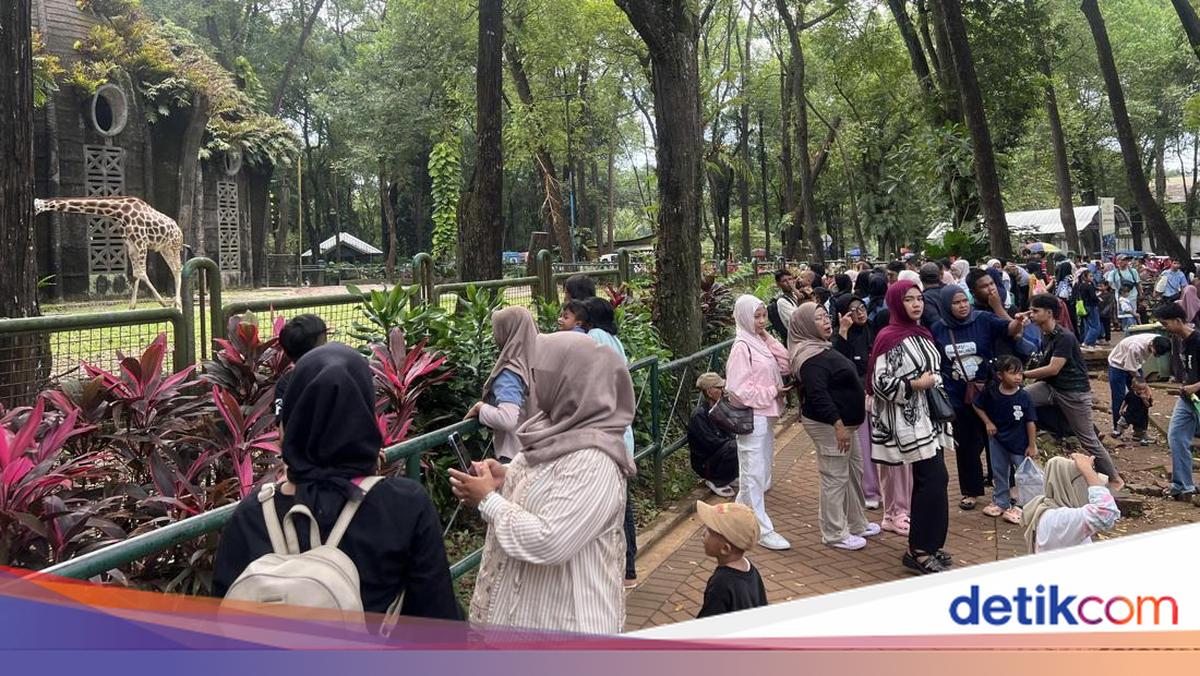 Ragunan Bakal Tambah Jam Operasional Malam, Khusus Pengunjung Olahraga