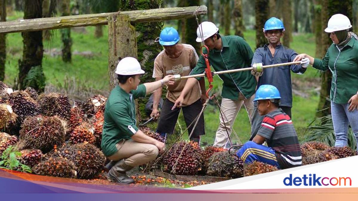 Astra Agro Lestari Perkuat Empat Pilar untuk Pembangunan Berkelanjutan