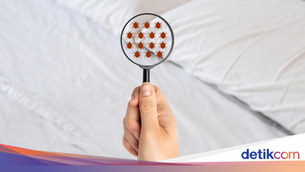 Kanada Bersiap Hadapi Gelombang 'Kutu Beracun' dari AS
