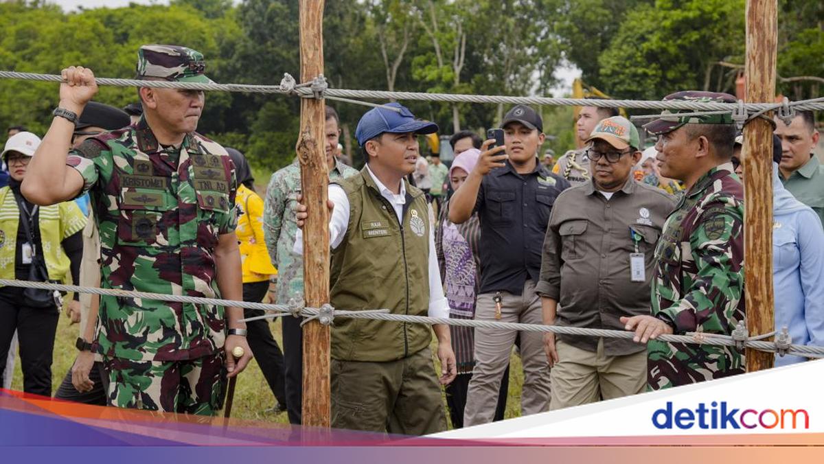 Sesuai Instruksi Prabowo, Pagar TN Way Kambas Sepanjang 138 Km Mulai Dibangun