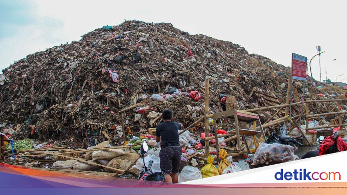 Tumpukan sampah setinggi sekitar enam meter terlihat menggunung di area tempat penampungan sementara (TPS) Pasar Induk Kramat Jati.

#detikFoto