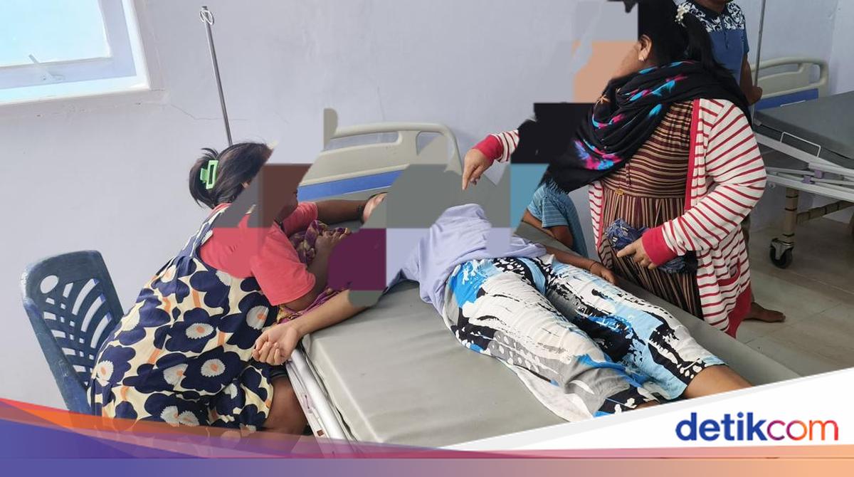 Kasus Keracunan, Komisi IX DPR Dorong Pemda Atur Larang Daging Anjing-Kucing