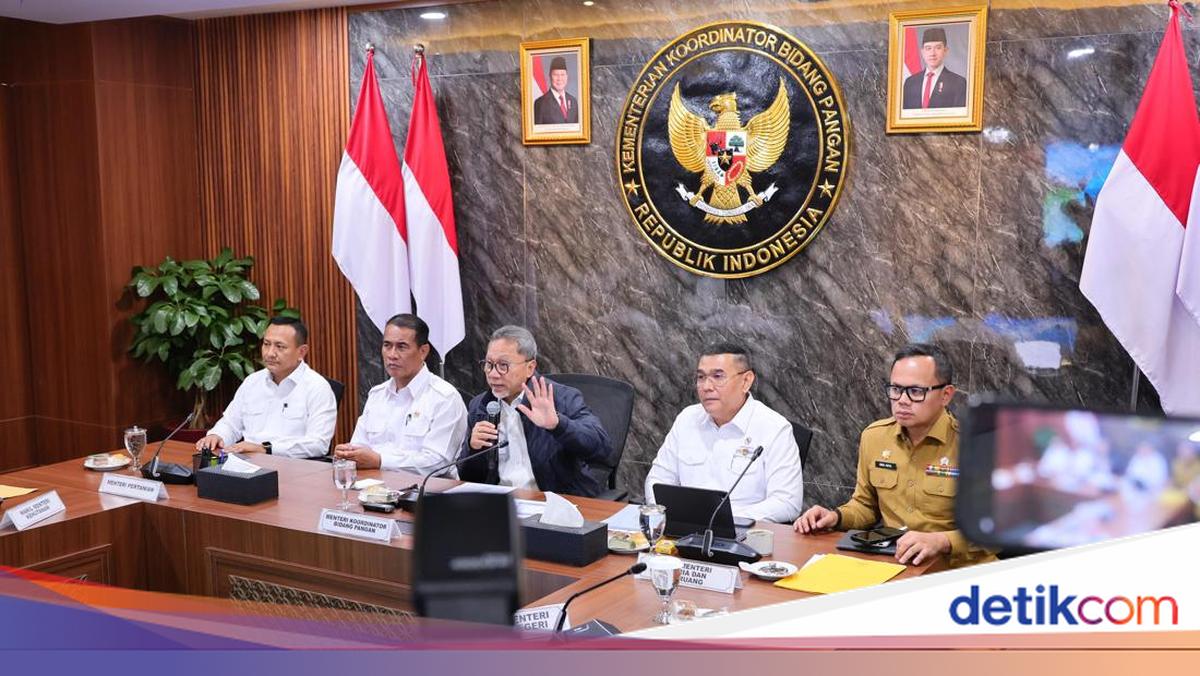 Pemerintah Kebut Pemetaan Lahan Sawah Dilindungi di 17 Provinsi