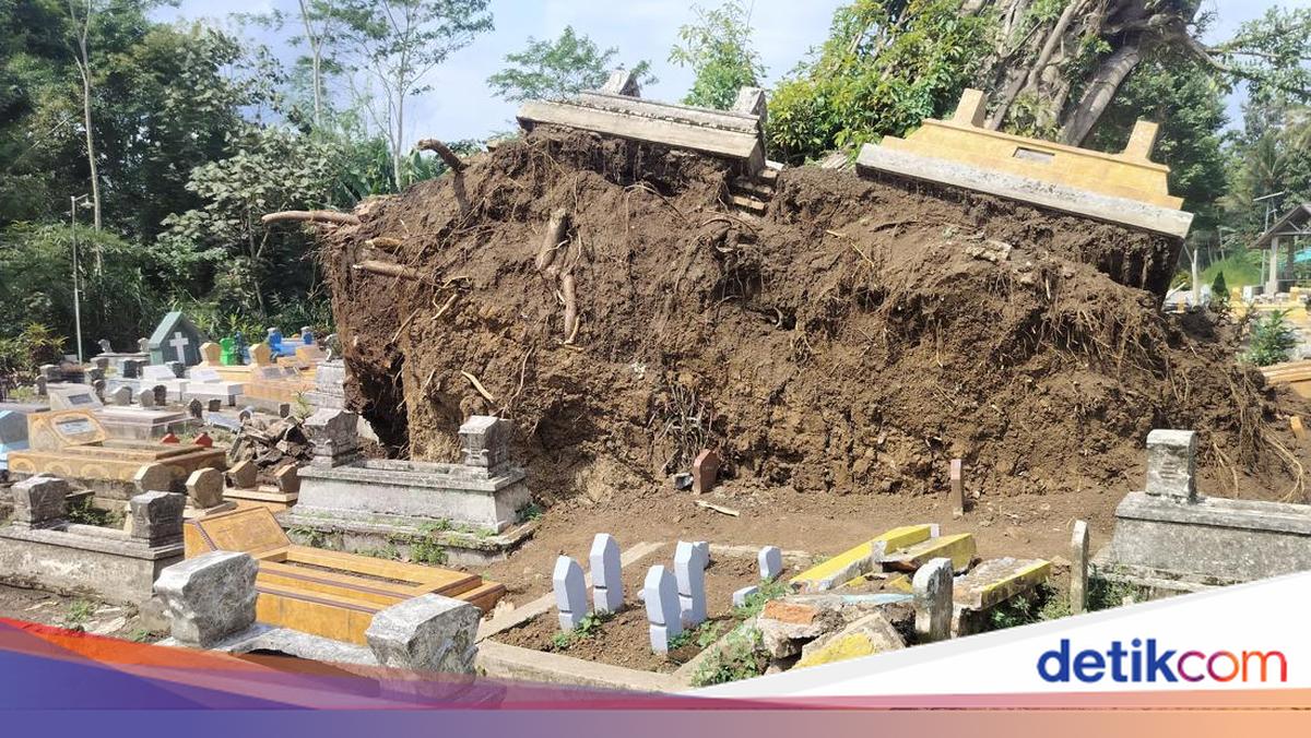 Pohon beringin raksasa yang diperkirakan berusia lebih dari satu abad tumbang di tengah TPU Dusun Sidorukun, Kabupaten Malang. Sejumlah makam ikut menyembul, bahkan jenazah turut terangkat akar pohon yang roboh.

Via @detikjatim_