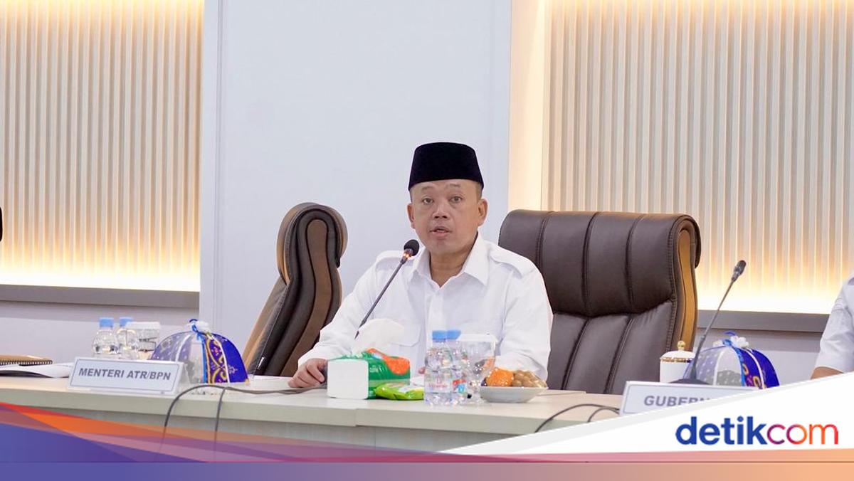 Nusron Batasi Alih Fungsi Lahan Sawah demi Ketahanan Pangan