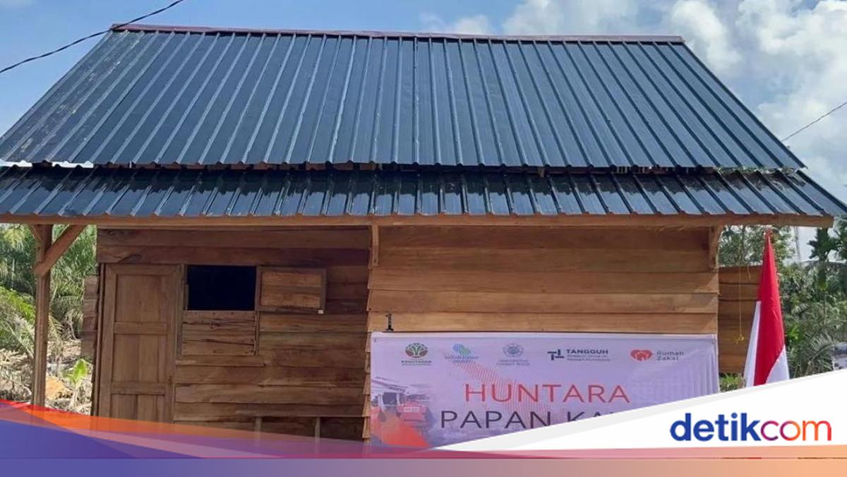Kayu Hanyutan Dimanfaatkan untuk Rehabilitasi Pascabencana