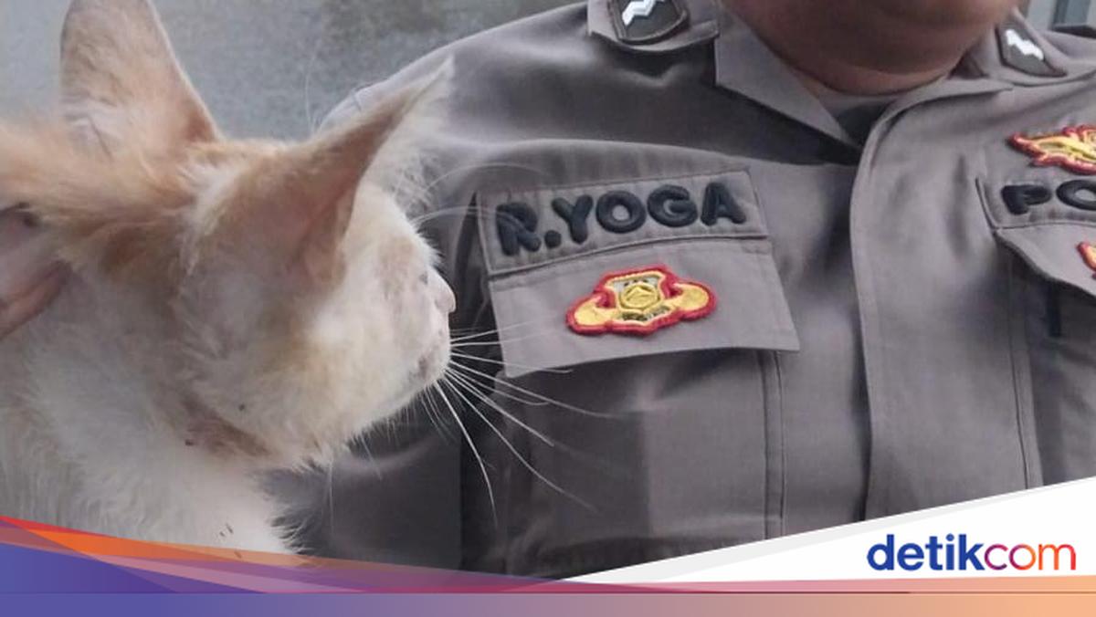 Geger Laporan Balita Kecebur Sumur di Ciputat, Ternyata Anak Kucing