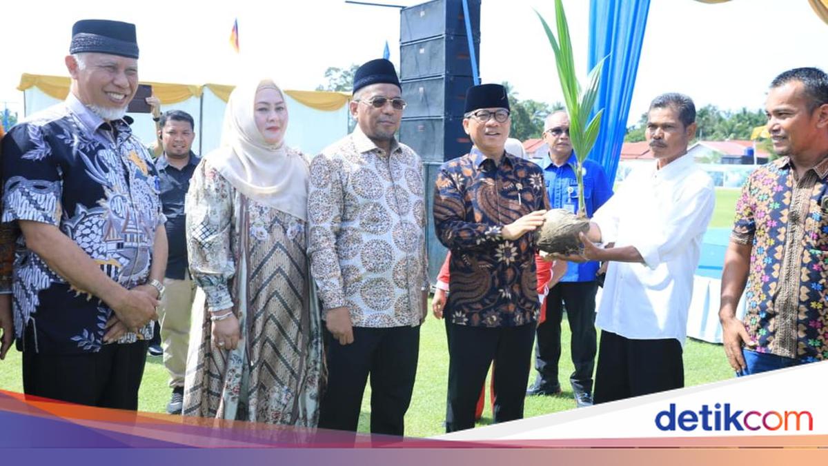 Mendes PDT Serahkan 2 Juta Bibit Kelapa &amp; Pinang untuk Warga Pariaman